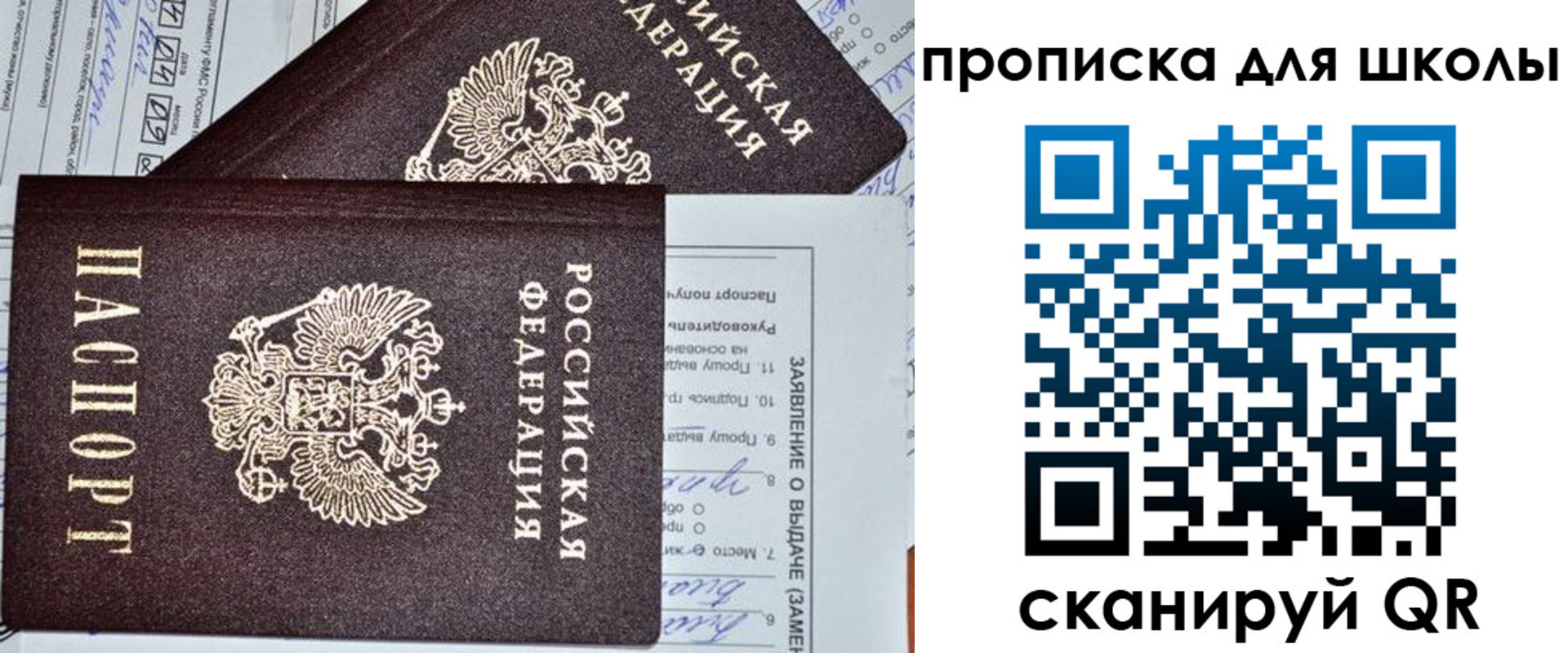 прописка в Димитровграде